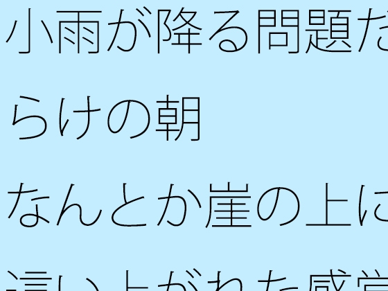 小雨が降る問題だらけの朝 なんとか崖の上に這い上がれた感覚