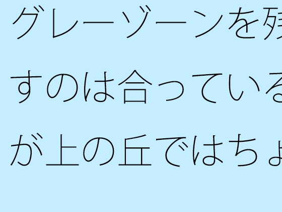 グレーゾーンを残すのは合っているが上の丘ではちょっと鈍感に