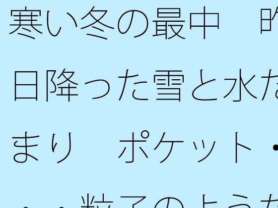 寒い冬の最中 昨日降った雪と水たまり ポケット・・・粒子のようなことが