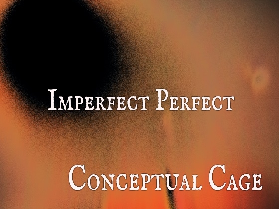 Imperfect Perfect