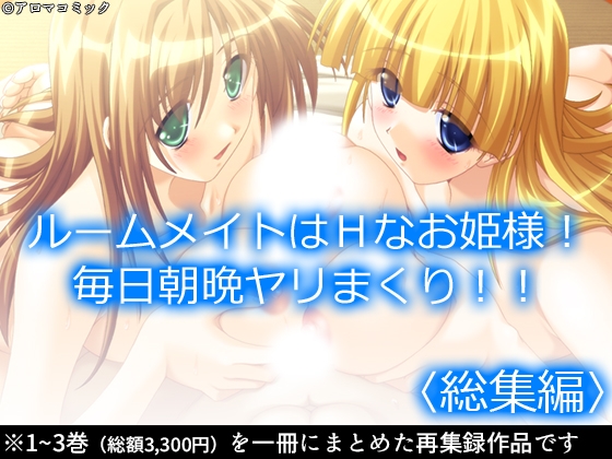 ルームメイトはHなお姫様！毎日朝晩ヤリまくり！！  <総集編>” border=”0″ itemprop=”image” /></a></p>
<h2><a href=