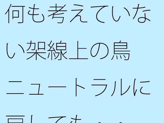何も考えていない架線上の鳥 ニュートラルに戻しても・・