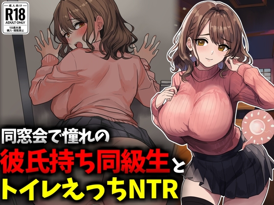 同窓会で憧れのマドンナ的同級生とトイレえっちNTR
