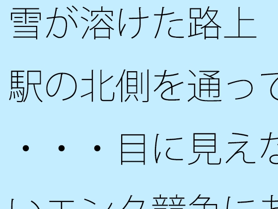雪が溶けた路上 駅の北側を通って・・・・目に見えないエンタ競争にあっぷあっぷしながら