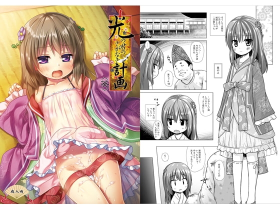 光の君のさがなき計画 葵