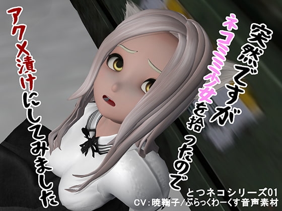 DLsite専売突然ですがネコミミ少女を拾ったのでアクメ漬けにしてみました