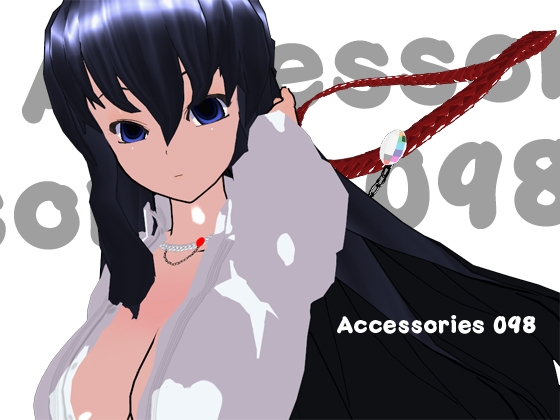 Accessories 098