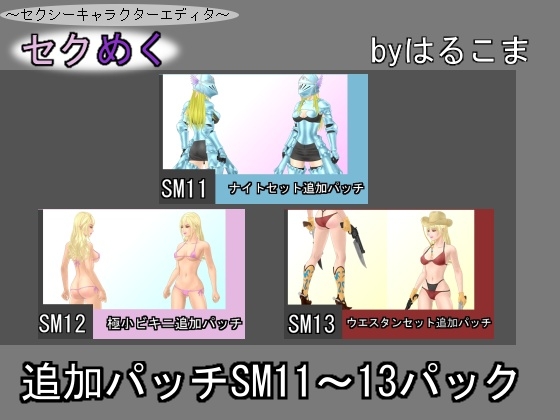 追加パッチSM11~13パック
