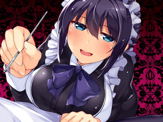 【必然】やっぱり、クール妻メイドのお仕置きご奉仕~本当は怖い耳かきプレイとかとかとか・・・M向け王道定石定番ご褒美!