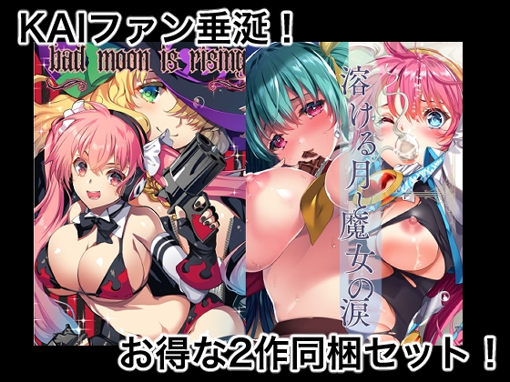 丸ごとKAI!2作セット