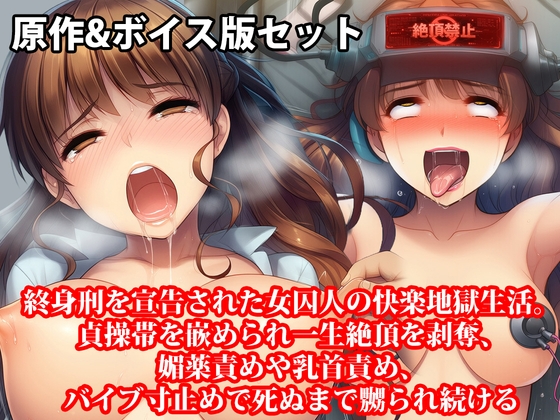 「『終身刑を宣告された女囚人の快楽地獄生活。貞操帯を嵌められ一生絶頂を剥奪、媚薬責めや乳首責め、バイブ寸止めで死ぬまで嬲られ続ける』原作&音声版セット」(淫乱テディベア)