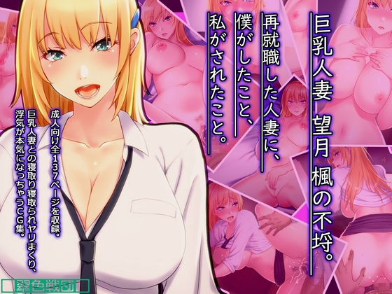 「巨乳人妻 望月楓の不埒。 再就職した人妻に、僕がしたこと、私がされたこと。」(翠色戦団)