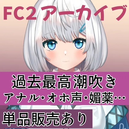 FCアーカイブ02