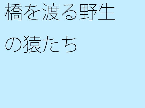 橋を渡る野生の猿たち