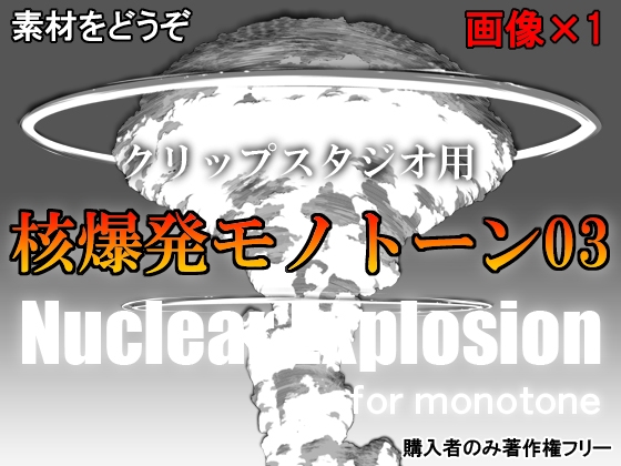 素材をどうぞ『核爆発モノトーン03』