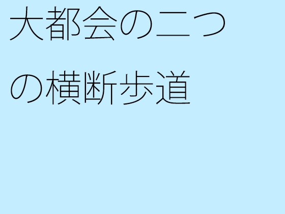 大都会の二つの横断歩道