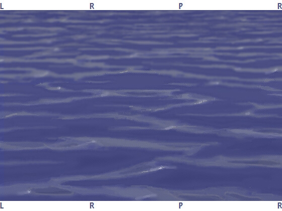 LRPR.サイエンスの終わり、科学の始まり。