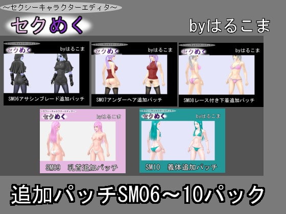 追加パッチSM06～10パック