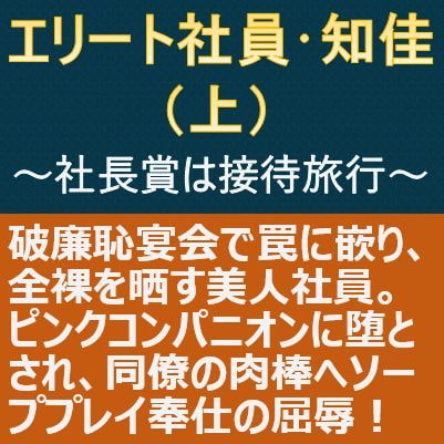 エリート社員・知佳(上)～社長賞は接待旅行～