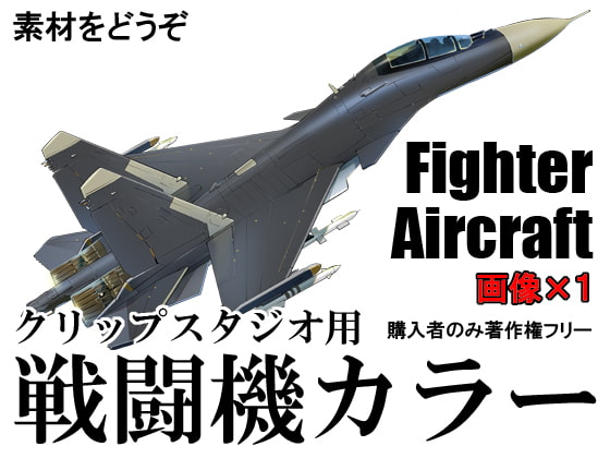 素材をどうぞ『戦闘機カラー』