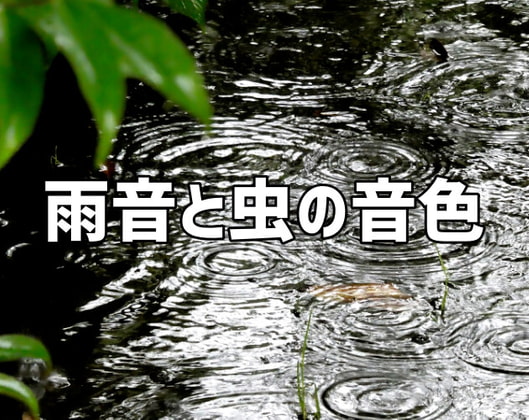 雨の音と虫の音色